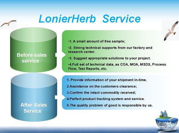 Corydalis yanhusuo l