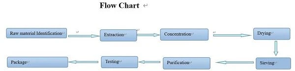 Flow Chat