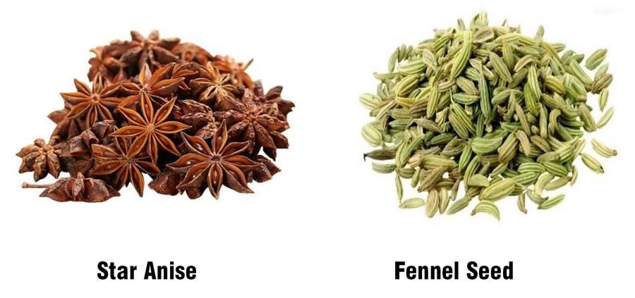 The difference between Star Anise and Fennel Seed