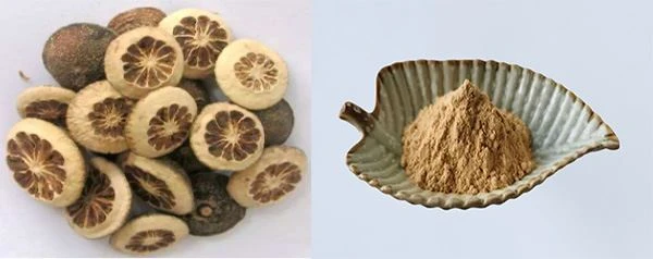 Citrus Aurantium Extract Powder Citrus Aurantium Extract Powder