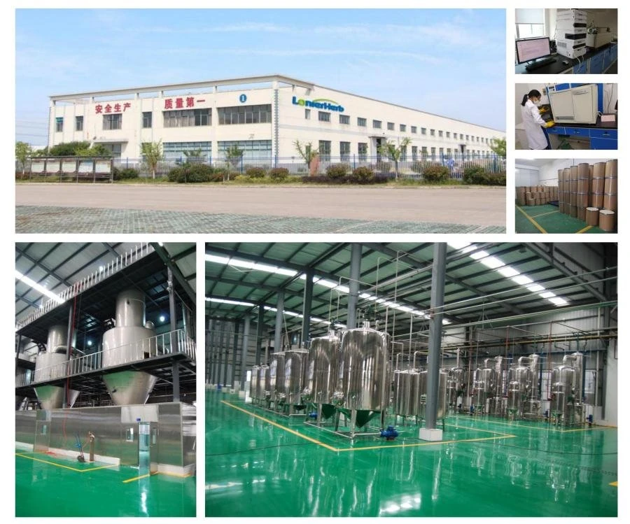 LonierHerb Factory 2