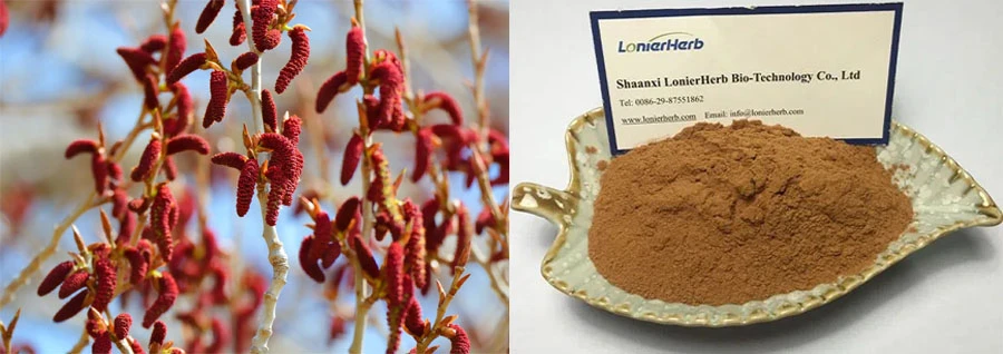 high quality Aspen Flower Extract high quality Aspen Flower Extract