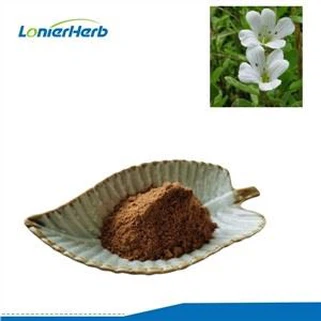 Bacopa Monnieri Özü Tozu