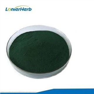 Chlorella Vulgaris Tozu