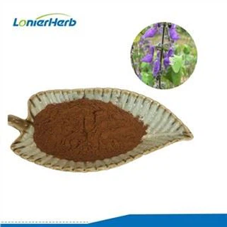 Forskolin özü tozu