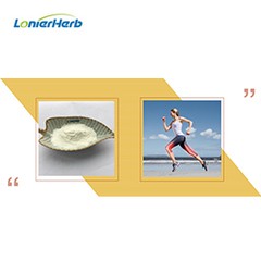 K2 Vitamini Neden Bu Kadar Önemli?