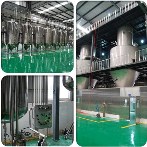 Black Ginger Extract Powder