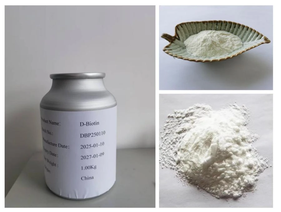 D-Biotin Powder D-Biotin Powder